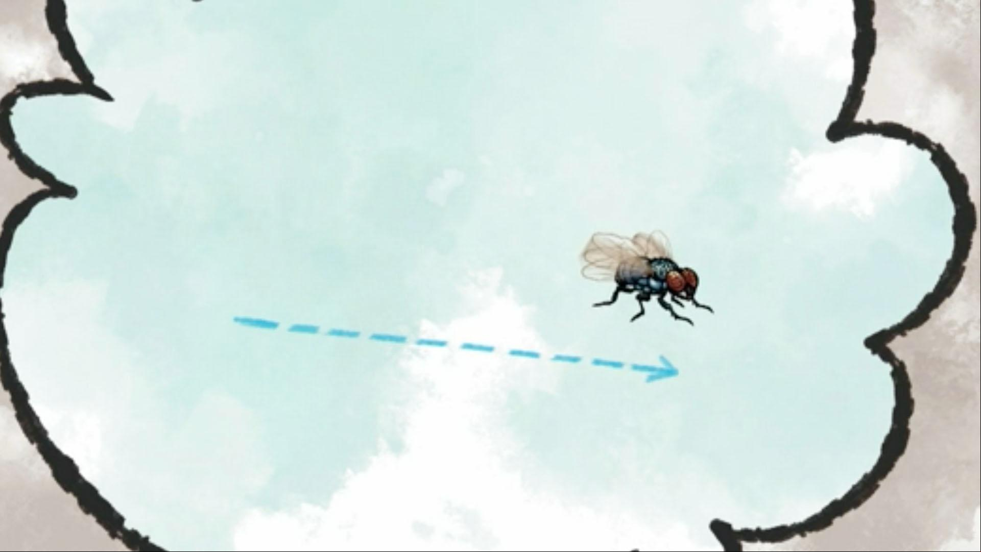 Jorge and Elinor learn about flies and how they can fly around without getting dizzy.