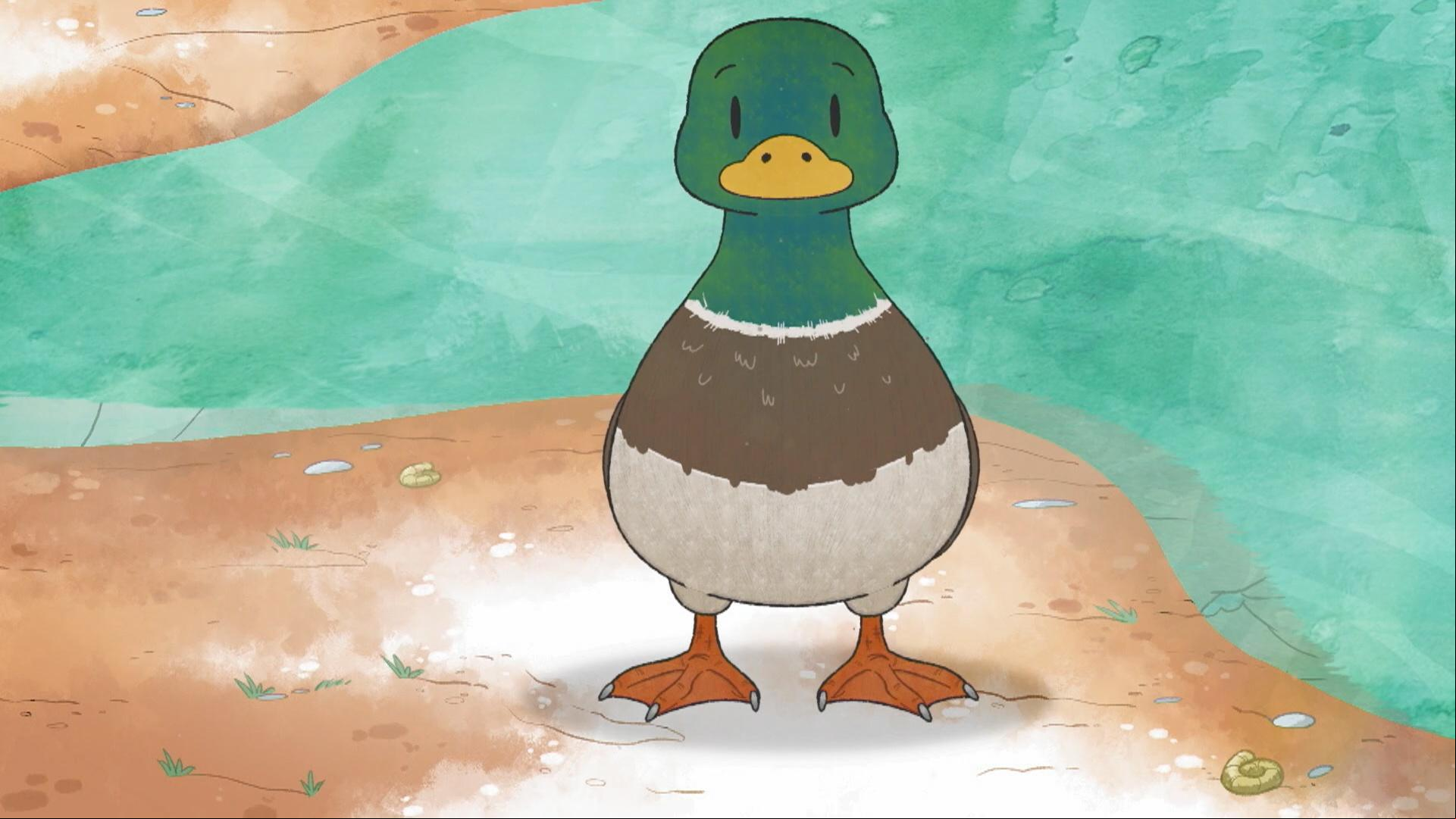 The kids learn about webbed feet. /It's Elinor's Dad's birthday and they're going camping.