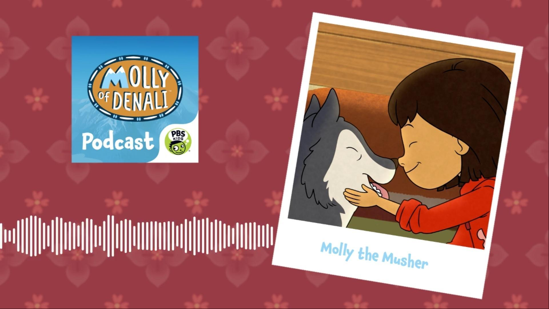 Molly agrees to take Tooey's place as a musher in the race because he isn't feeling well!