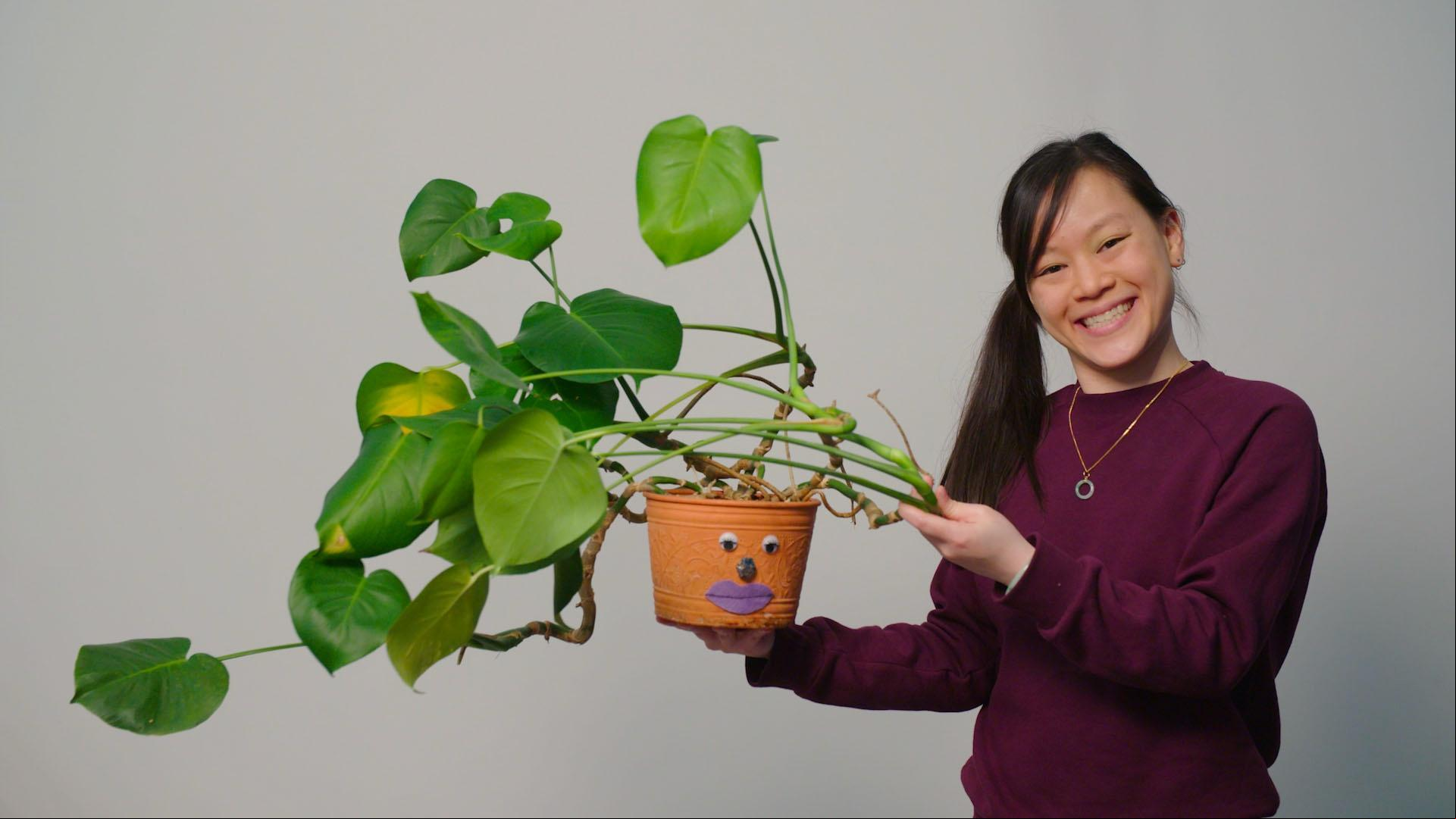  Katie and guest, Sabine, as they create some funky leafy hairstyles for their plants!