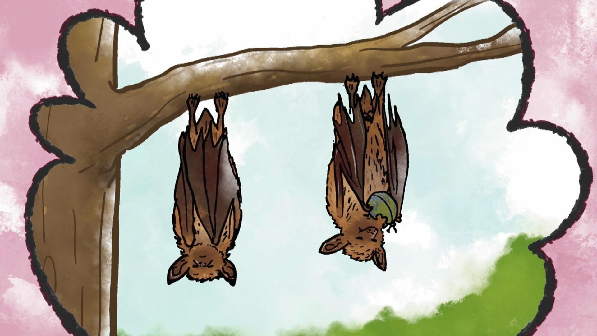 Ari gives Jorge the inside scoop on why bats like to hang upside down.