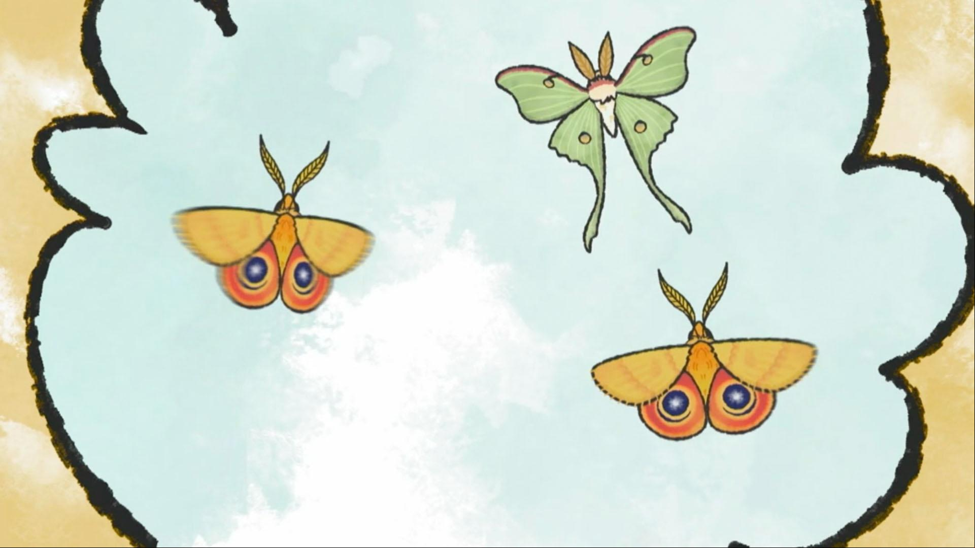 Jorge and Elinor explore why moths have different colors and designs on their wings.