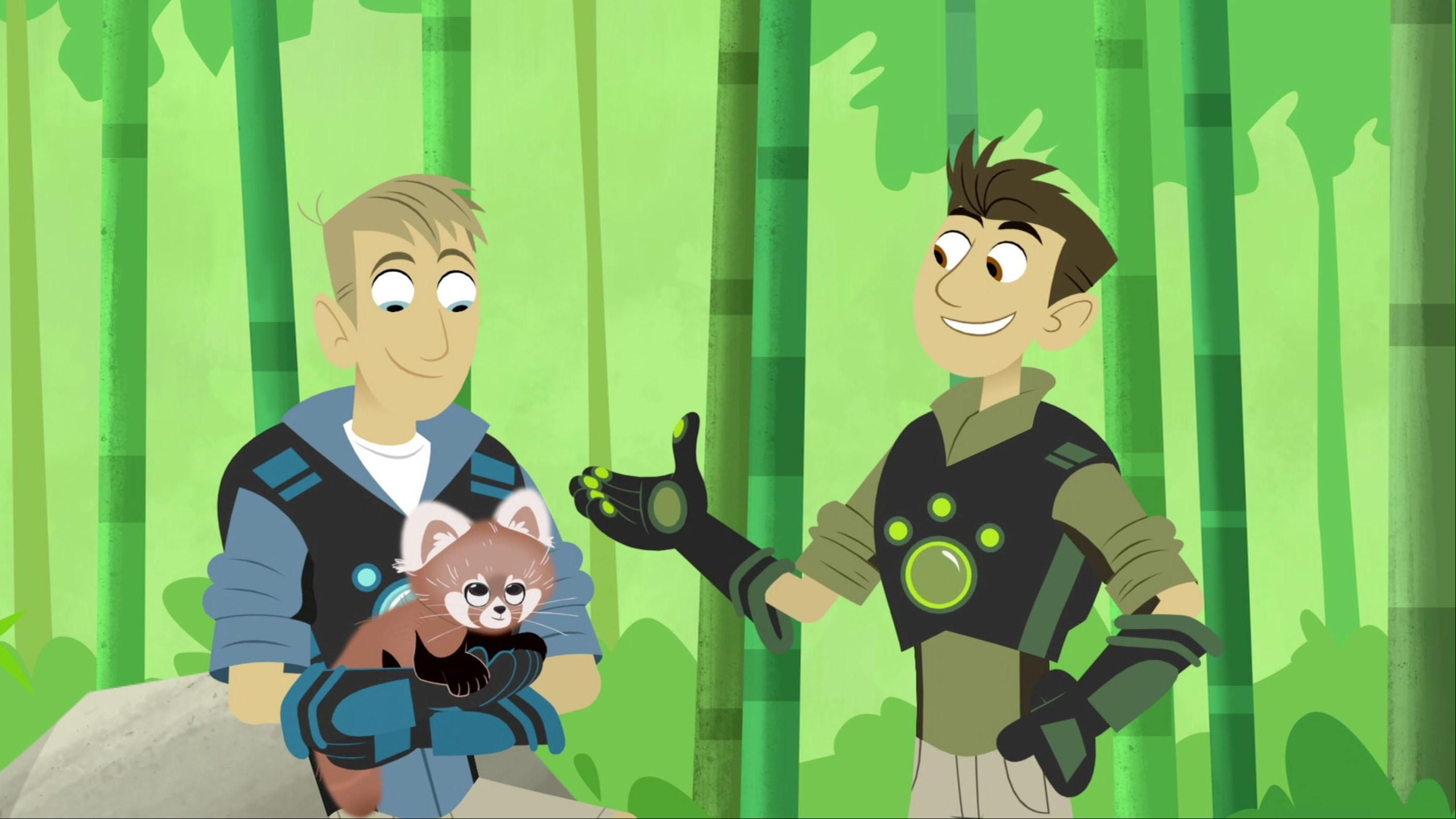 Chris finds a little lost red panda.