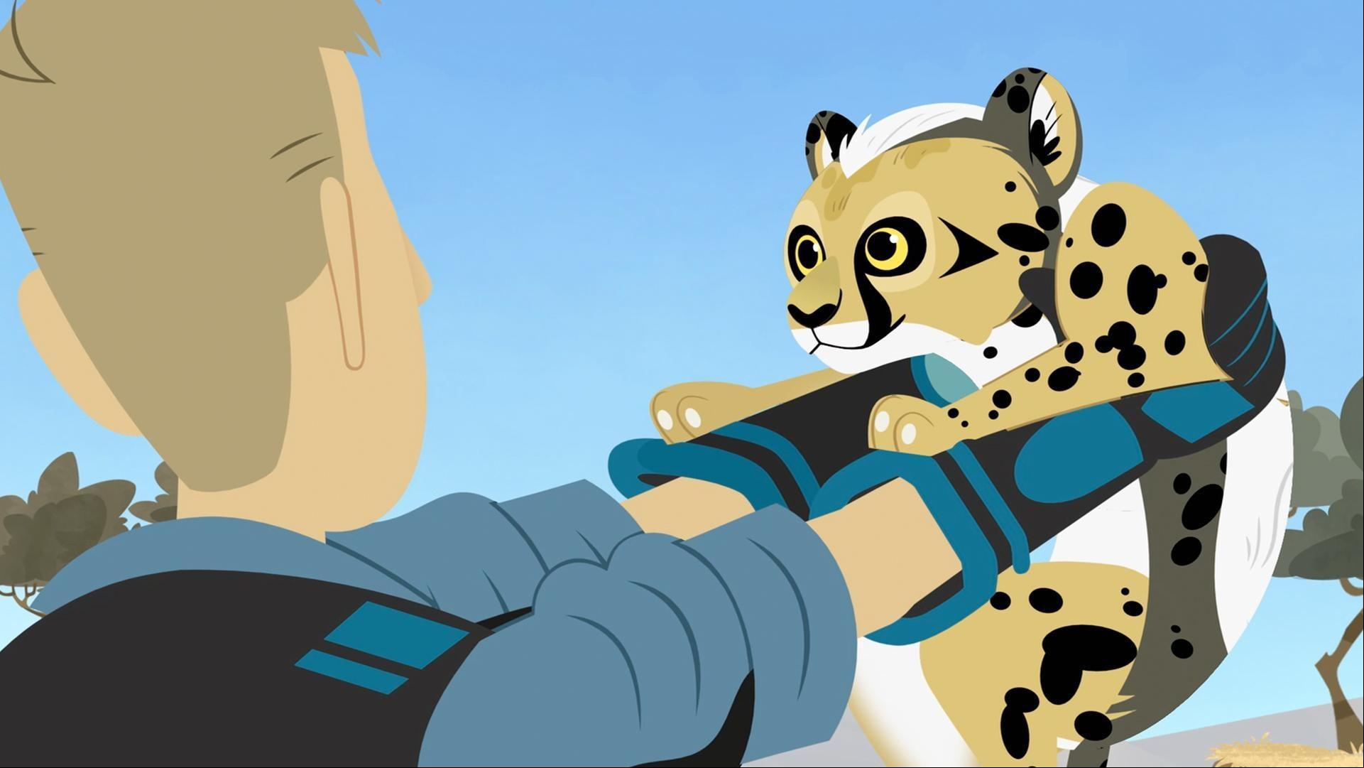 The Kratt bros find a warthog family and notice that one piglet is actually a cheetah cub!