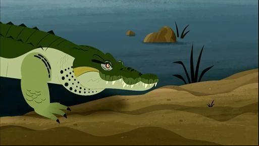 Chris and Martin want to show Aviva that there is more to crocodiles than meets the eye.