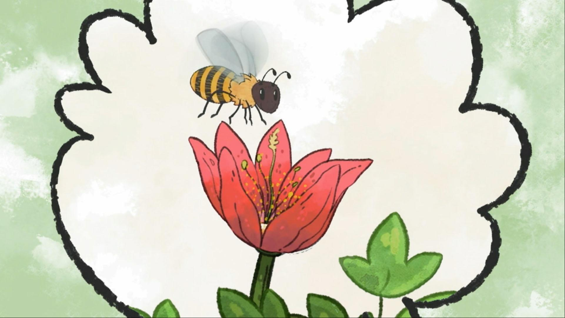 Jorge and Olive explore the world of flowers and the reasons why they are so colorful.