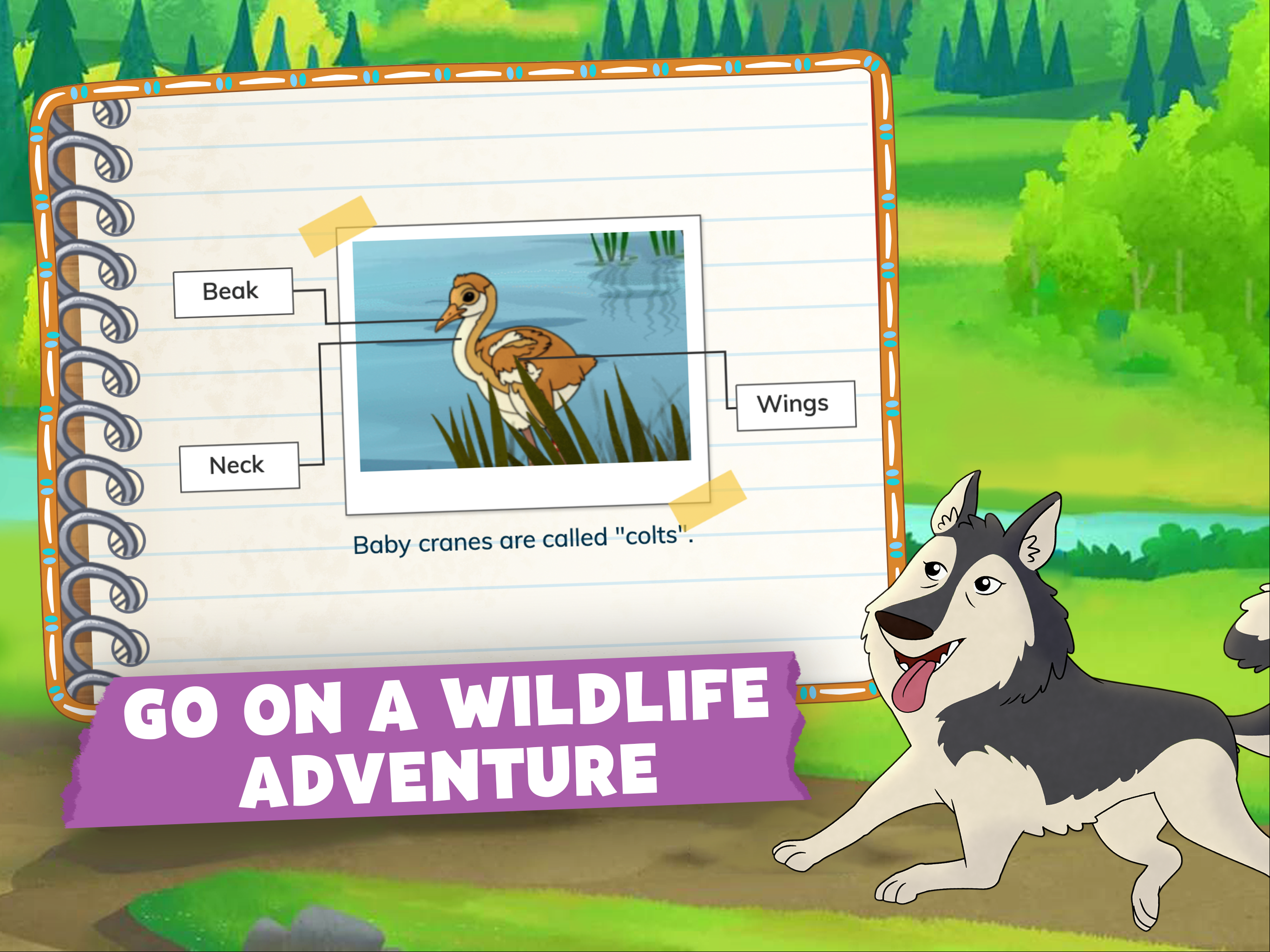 Molly of Denali screenshot.