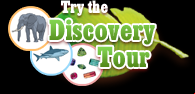 Try the Discovery Tour