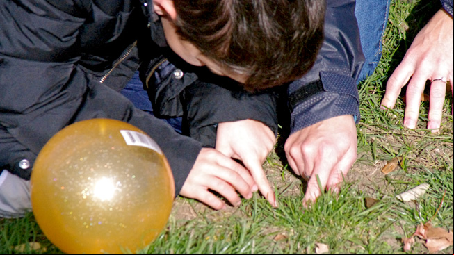 Boy looking at plants
