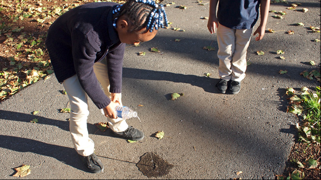 Girl pours water on pavement