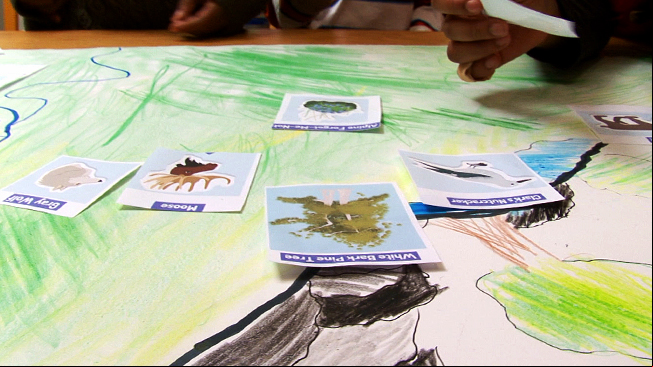 Moose Family Cards