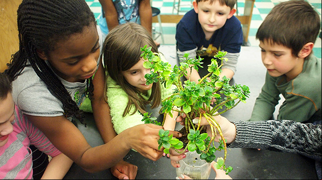 Students with plants