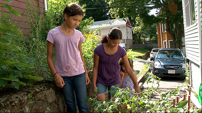 Girls with tomato plants