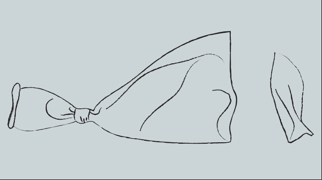 A cut balloon and an assembled Seed Blaster