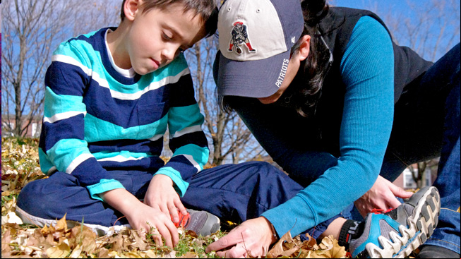 Boy and mom look at plants
