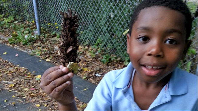 Boy with pine cone