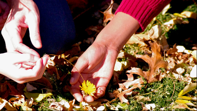 Two kids touch plant