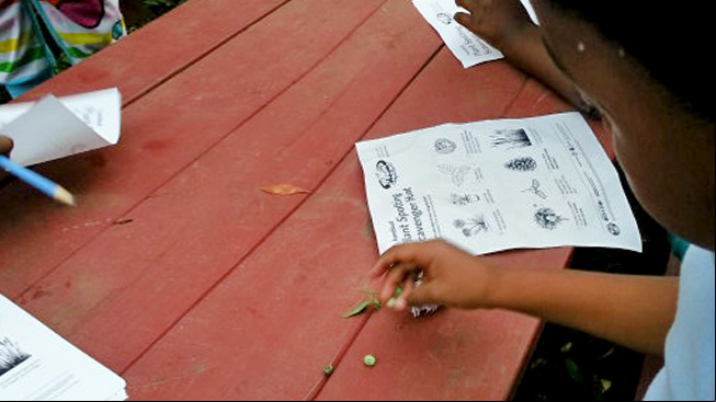 Kids with handouts and seeds
