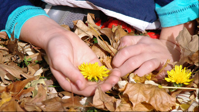 Boy holding yellow flower
