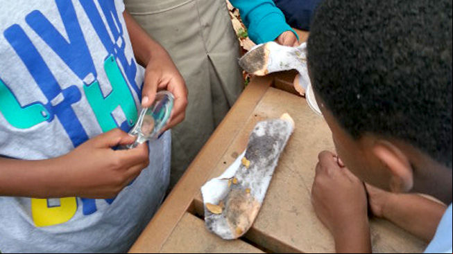 Kids examine socks at table