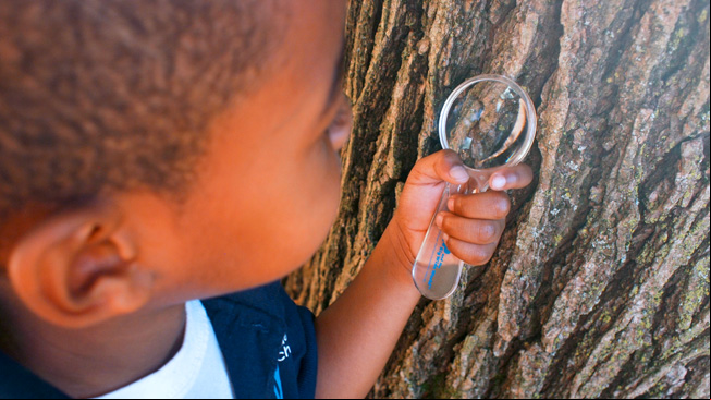 Boy looks at tree bark with lens