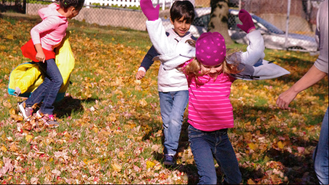 Families waggle dance