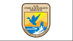US Fish and Wildlife Service – New Haven Schoolyard Habitat Program