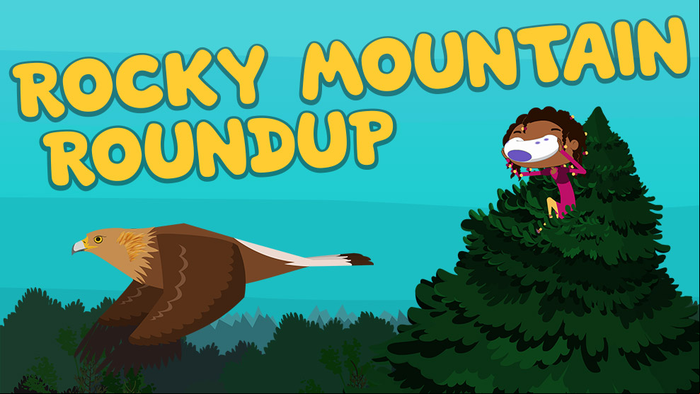 Rocky Mountain Roundup