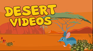 Desert Videos