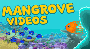Mangrove Videos